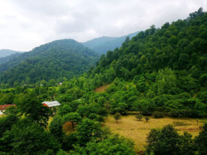 iran-masouleh-road-woods-forest